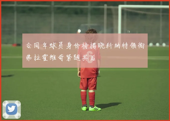 合同年球员身价榜揭晓科纳特领衔弗拉霍维奇紧随其后