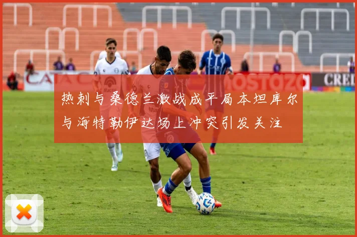 热刺与桑德兰激战成平局本坦库尔与海特勒伊达场上冲突引发关注