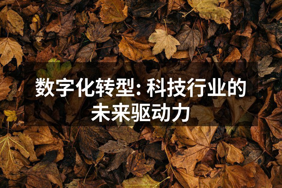 数字化转型: 科技行业的未来驱动力